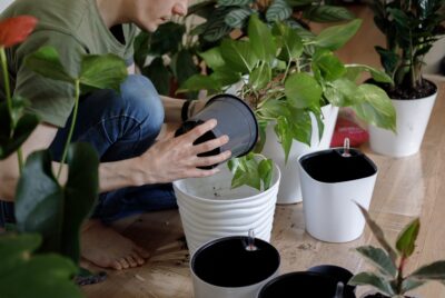indoor garden system