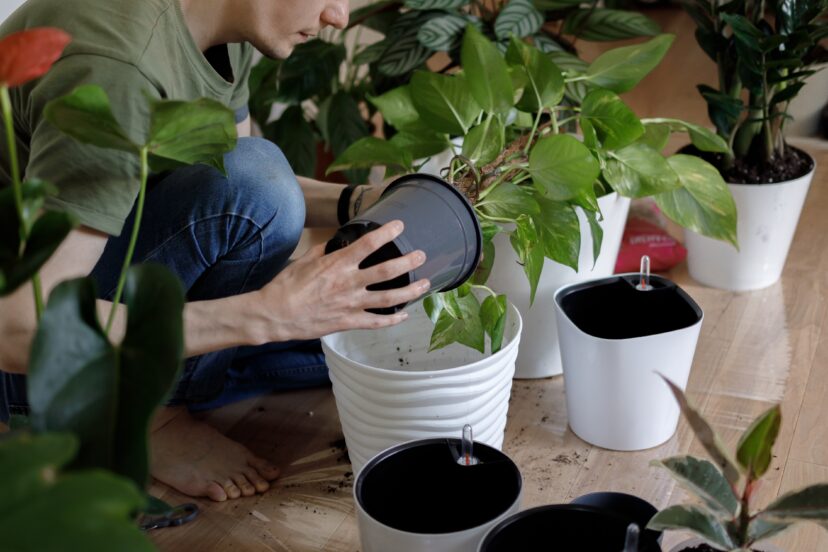 indoor garden system